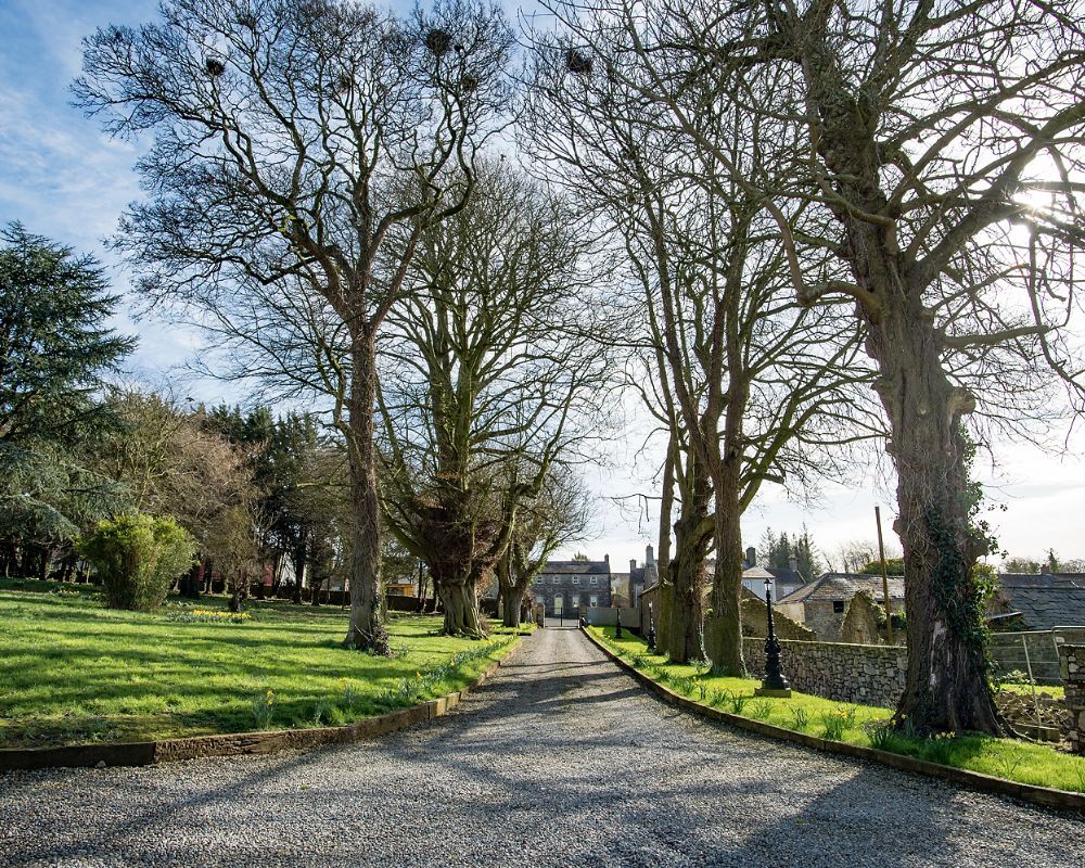 Discreetly tucked away behind the centrally located Village Garden and recreation area in Slane, Boyne House Slane is set in its own grounds, comprising a small patch of woodland with well aged Copperbeech, Poplar and Chestnut trees.